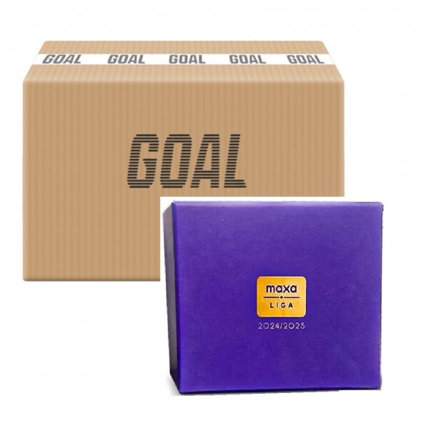 Hockey cards 2024-2025 Maxa league Hobby Case