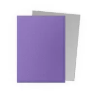 Card Sleeves Dragon Shield Matte Dual Sleeves - Nebula and Silver - 100 ks